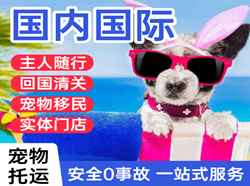 阿里昆莎国际宠物托运 【国